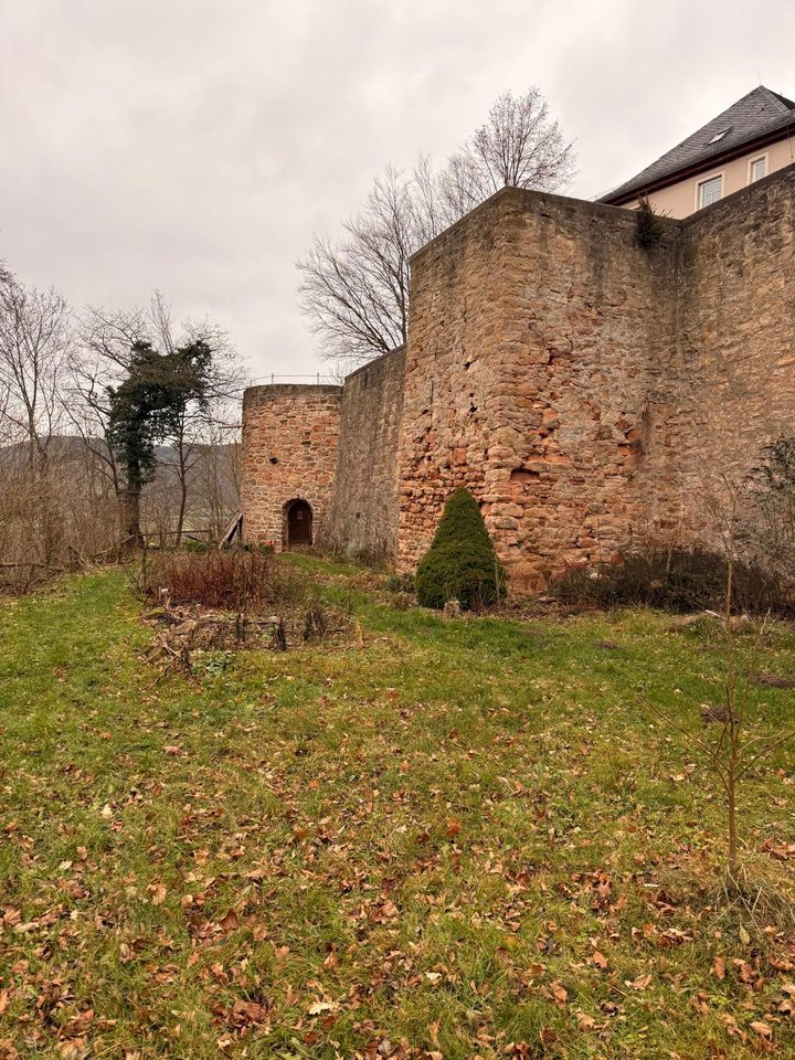 Die alten Burgmauern mit Rundturm und kleiner Bogentür, darüber das Schlossgebäude