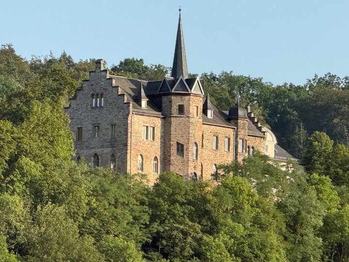 Schloss Weißenburg in der Morgensonne, über den Baumwipfeln des Hangs