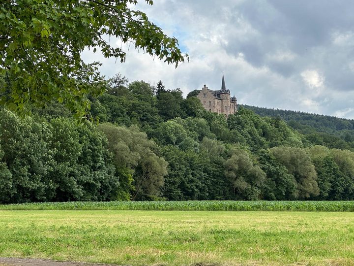 Schloss Weißenburg auf dem bewaldeten Hang, davor Wiese und Maisfeld
