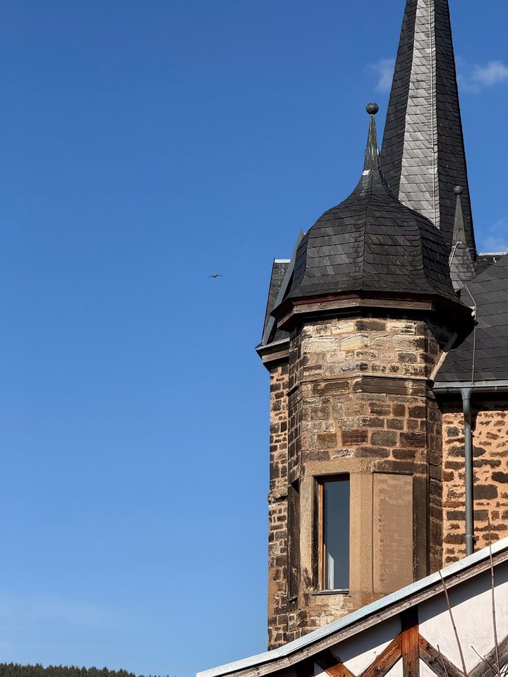 Der Erkerturm des Schlosses vor blauem Himmel, daneben ein Turmfalke im Flug